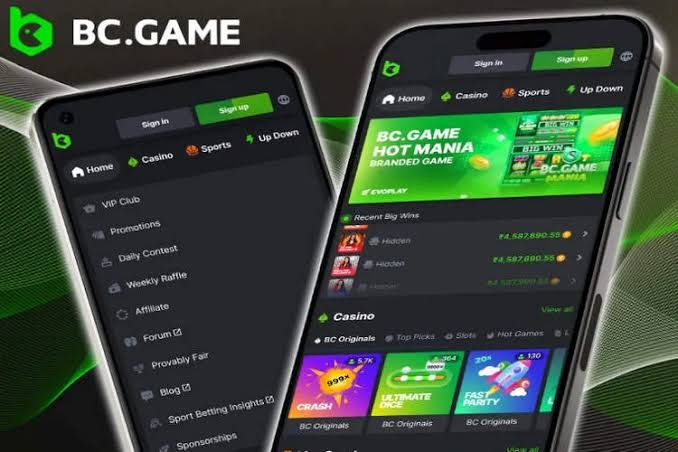 Unlock Exciting Daily Bonuses with BC.Game