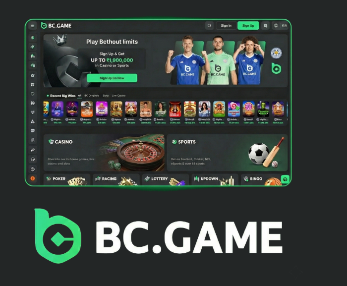 Discovering BC.Game Casino A New Era of Online Gaming in Cameroon